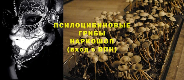 твердый Алексин