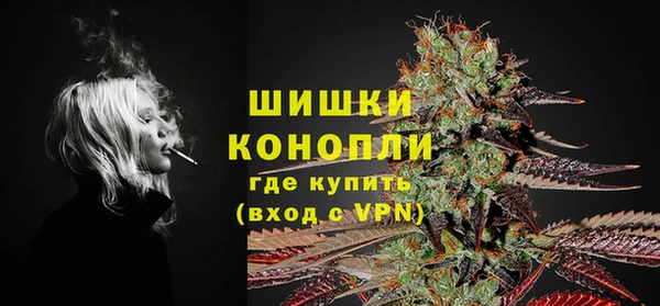 гидра Покачи