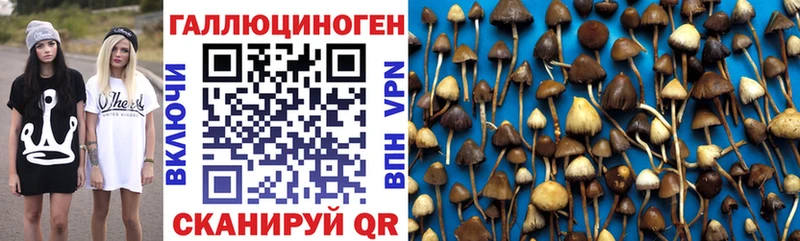 Псилоцибиновые грибы прущие грибы мориарти какой сайт Канск